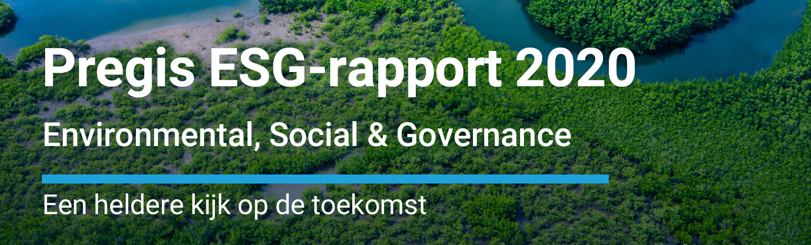 Pregis ESG-rapport 2020